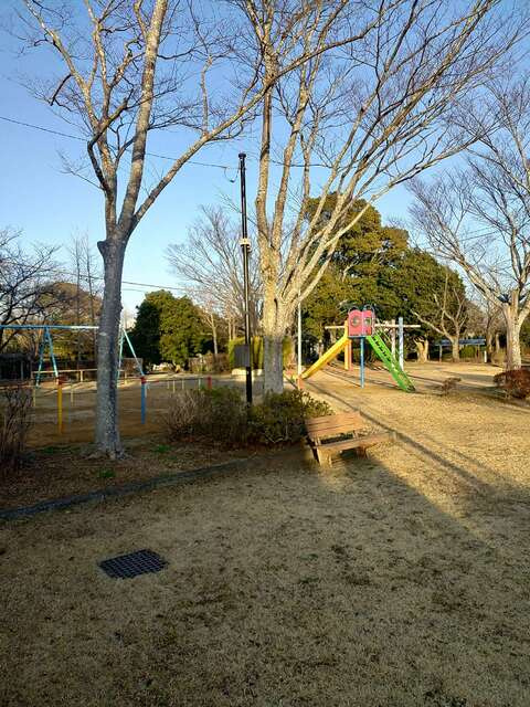 成田市玉造　第１３の前面道路含む現地写真