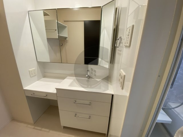 フォーシーズン御厨の洗面所