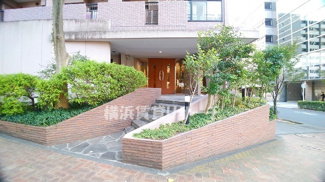  | ワイズ新横浜