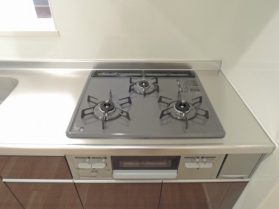 高槻市芥川町４丁目の賃貸マンションの内装