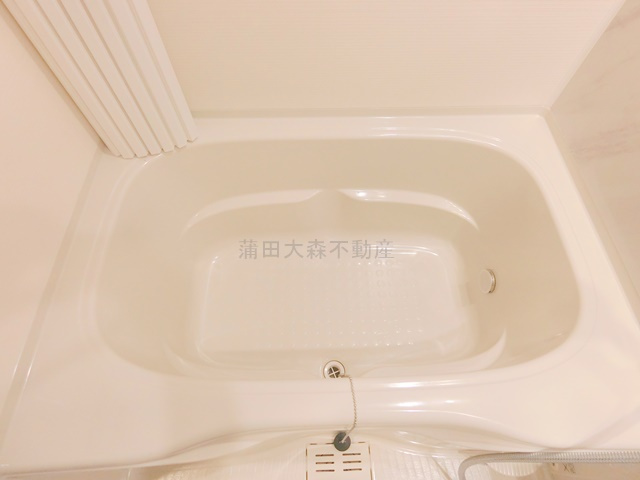 ザ・ライオンズフォーシア蒲田の浴室
