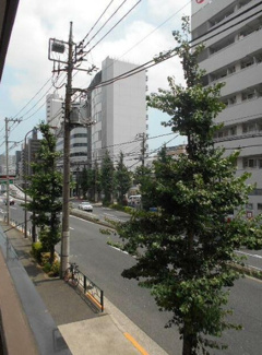 【展望】 | パークウェルツインズ戸越銀座壱番館