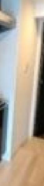 サムティレジデンス市川の玄関