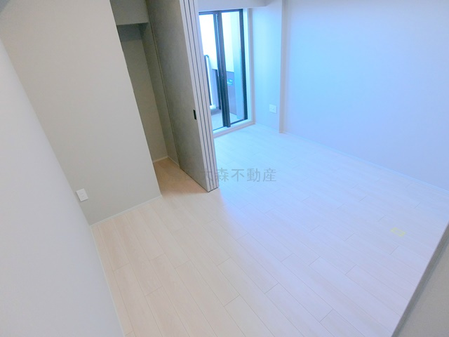 ザ・ライオンズフォーシア蒲田のその他