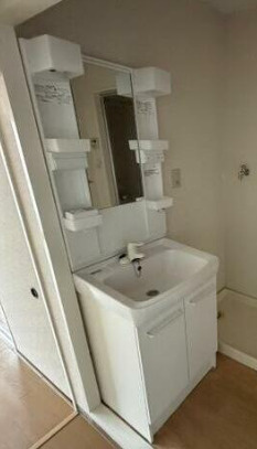 エステート西山の洗面所