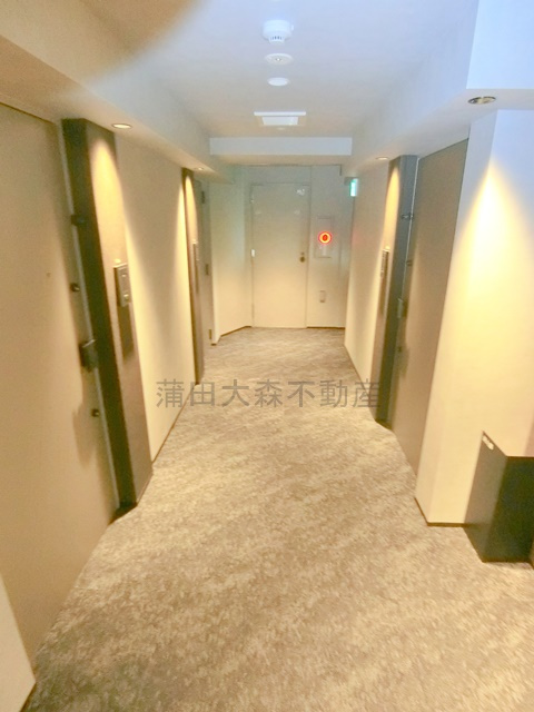 ザ・ライオンズフォーシア蒲田のその他共用部分|共用廊下