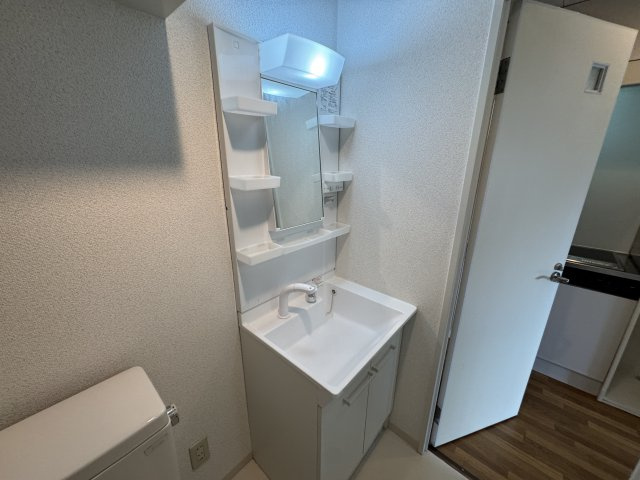 アメリ南桜塚の洗面所