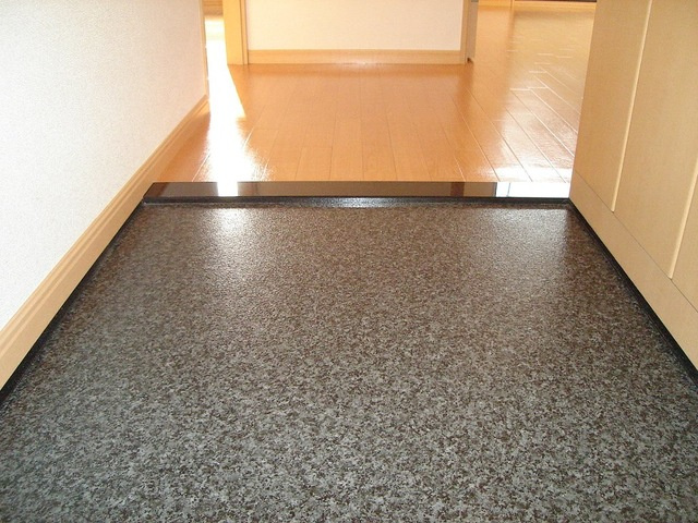 ネオ・クレストⅢの玄関|玄関