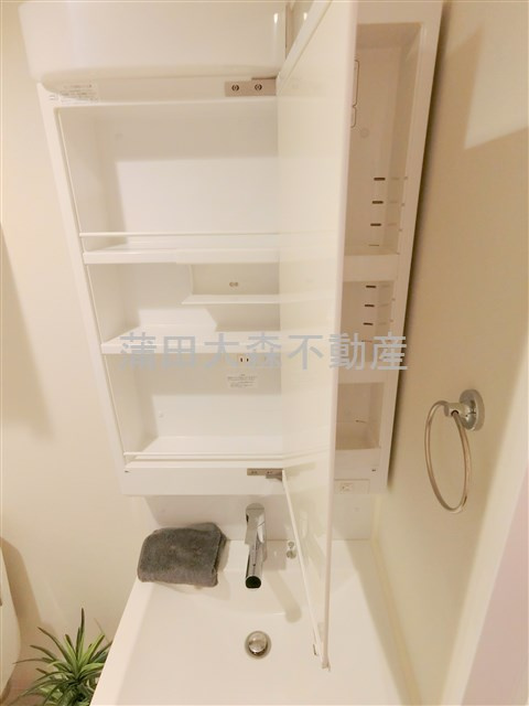 ジェノヴィア蒲田Ⅱスカイガーデンの洗面所