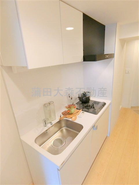 ジェノヴィア蒲田Ⅱスカイガーデンのキッチン|2口ガスシステムキッチン