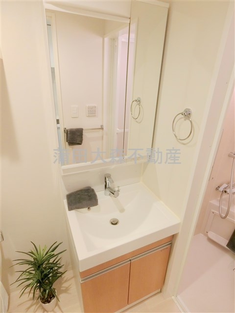 ジェノヴィア蒲田Ⅱスカイガーデンの洗面所|2面鏡鏡裏収納の独立洗面台　洗面脱衣所