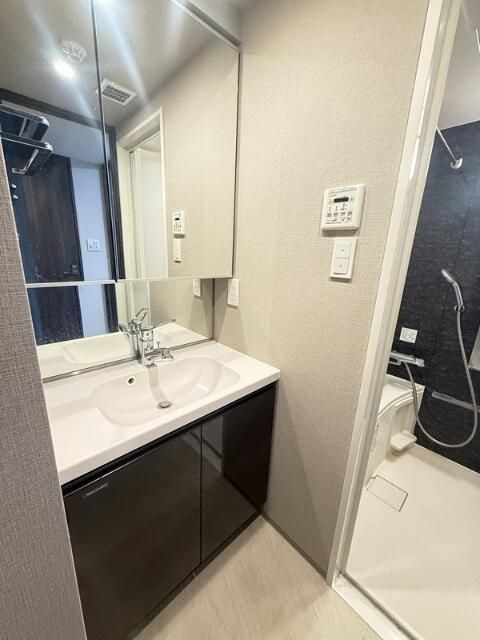 エスティメゾン赤羽Ⅱの洗面所