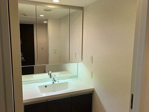 ライオンズクオーレ池袋ソシアの洗面所