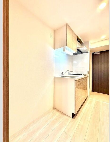 エスリード ザ・レガリア新栄ALTAIERのキッチン