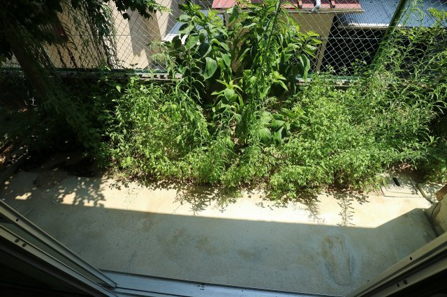 薬師グリーンハイツのバルコニー