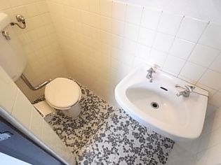 グリーンマンションのトイレ