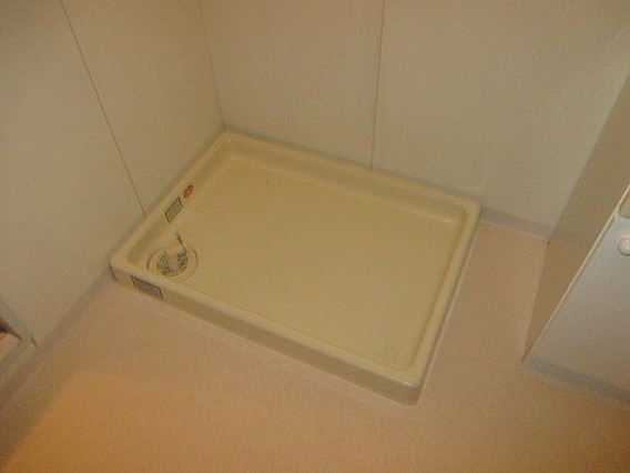 ハイム屋敷本の洗面所