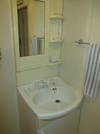 ハイム屋敷本の洗面所