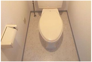 菱和パレス池袋本町のトイレ