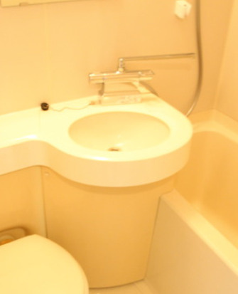 ブルービラ吉原の洗面所