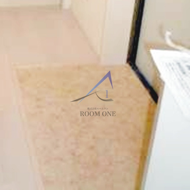 ラ・ヴィータ板橋の玄関|玄関です。