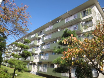 【外観】 | 幸町団地１５街区１１棟