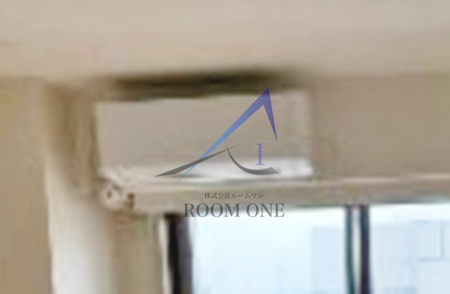 ＡＲＩＵＳのその他