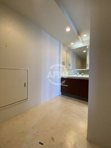 カスタリアタワー長堀橋の洗面所|カスタリアタワー長堀橋　洗面脱衣所