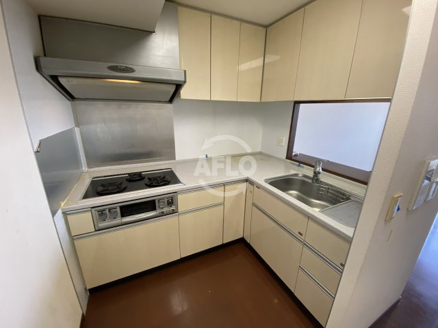 カスタリアタワー長堀橋のキッチン|カスタリアタワー長堀橋　3口ガスシステムキッチン