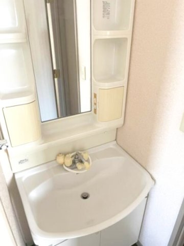 ランドビュー野毛の洗面所