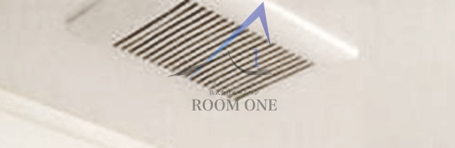 ロッシュのその他