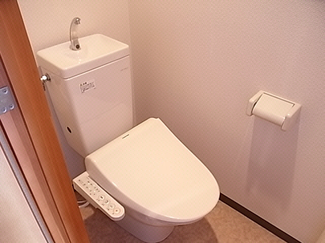 第２エーワンビル　プレイスピアPremium城山のトイレ