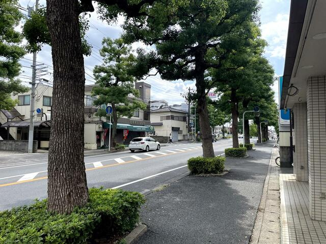 サウスコートの周辺|マンション前の通り