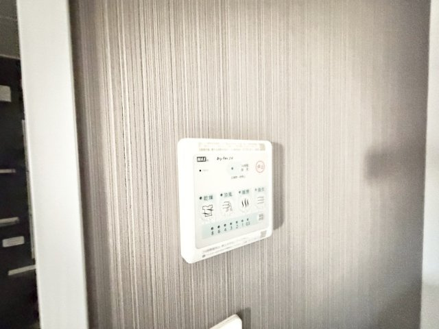 コルザのその他