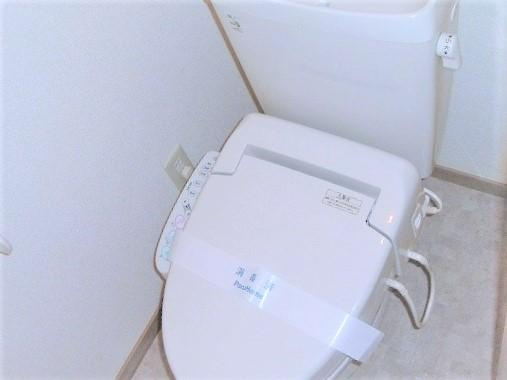 ｓａｌｕｔｅ　ｔｓｕｇａ　サルーテツガのトイレ