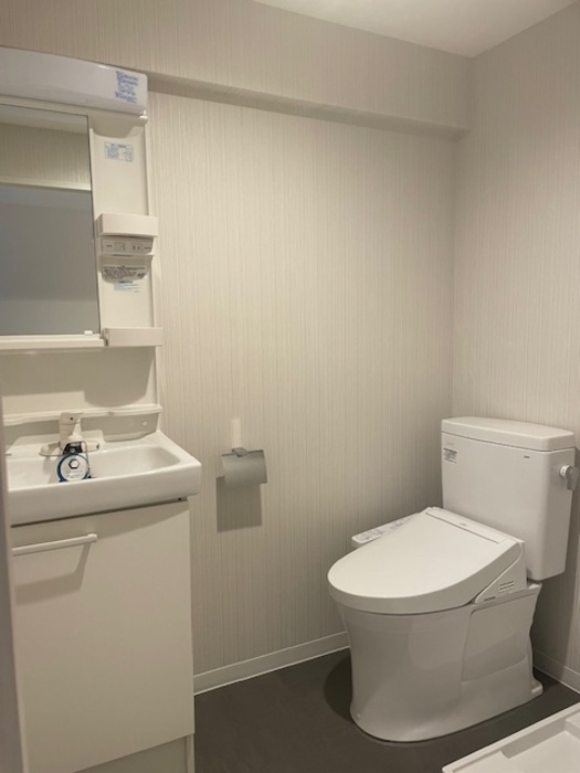 カスタリア千駄ヶ谷の洗面所