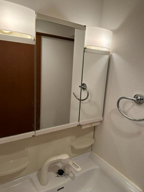 パークナードフィットなかもずの洗面所