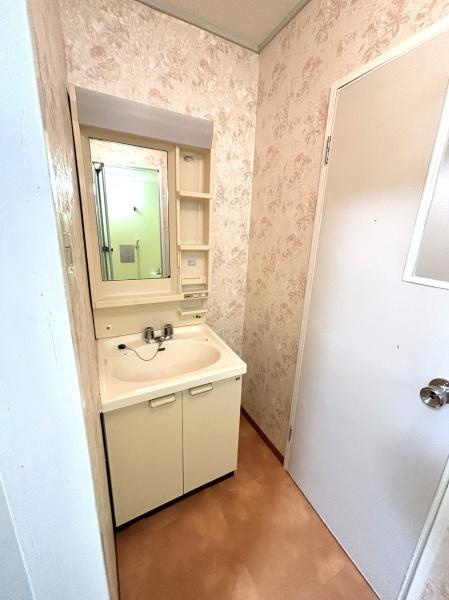 ケイアンドティ大正の洗面所