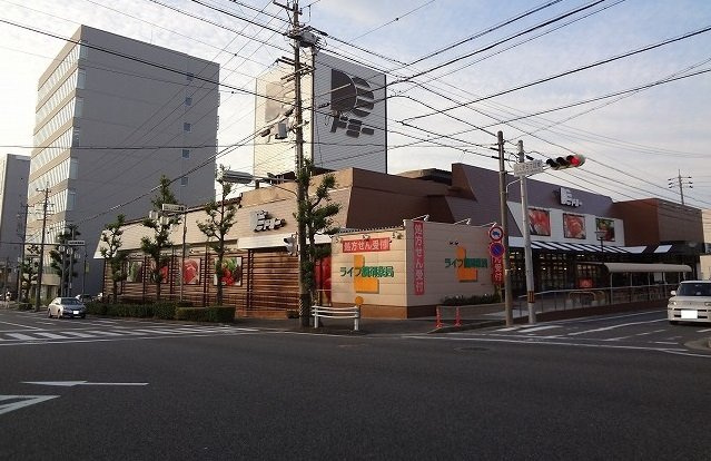 フジハイムの周辺|ドミーまで650m