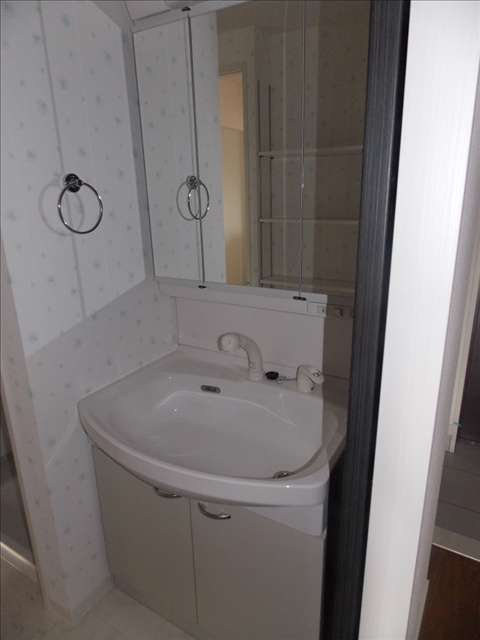 ボヌールの洗面所