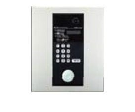 シトラス・Ｔのその他