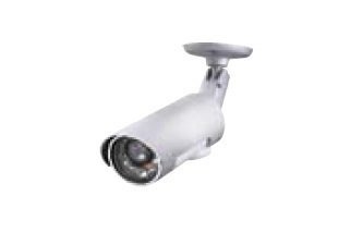 シトラス・Ｔのその他