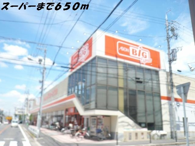 メゾンドティファニーの周辺|ビッグまで650m