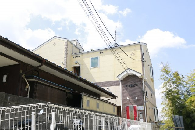 レイチェルの丘