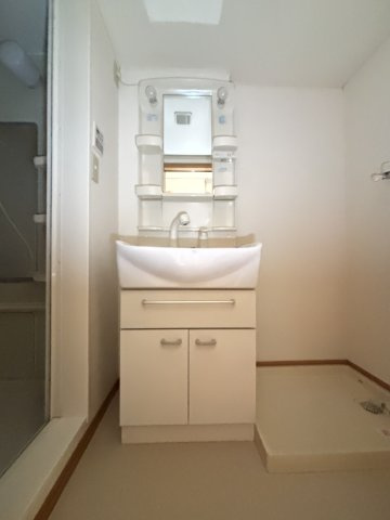 ピュアセルト森尾Ⅱの洗面所