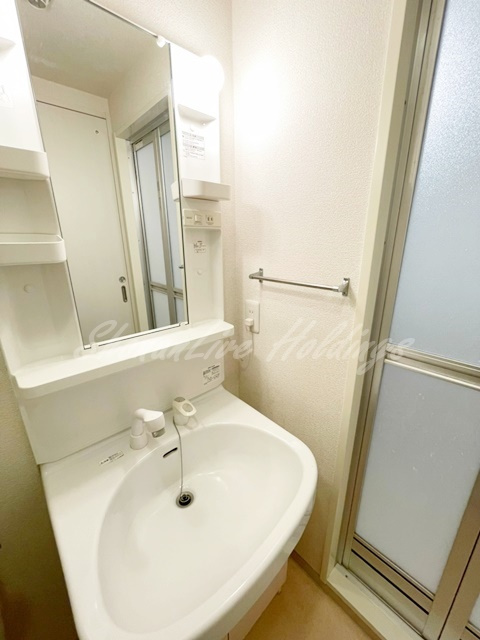 アース湘南台の洗面所