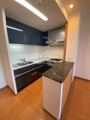 【キッチン】 | リーガル靭公園南 | カウンターもあって便利