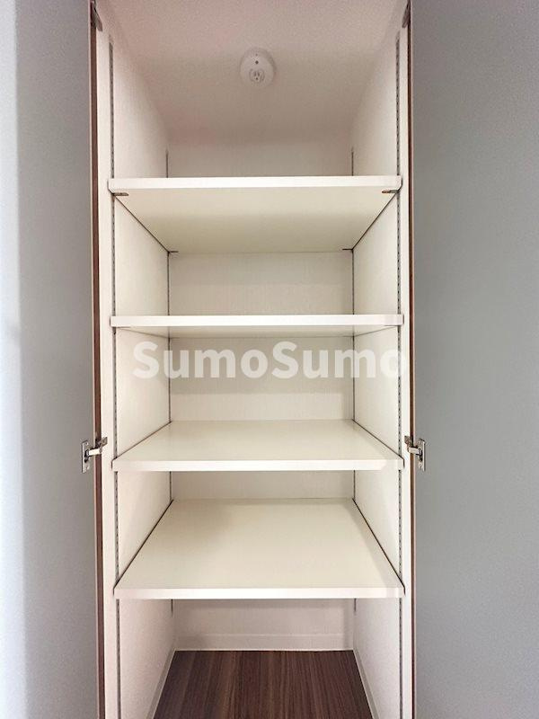 シャロン灘のその他