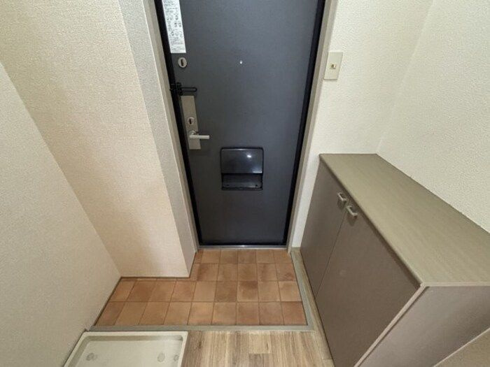 リッツハウス三番館の玄関