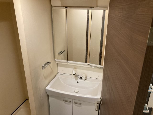 GENOVIA西大島greenveilの洗面所